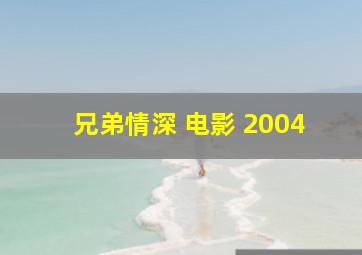 兄弟情深 电影 2004